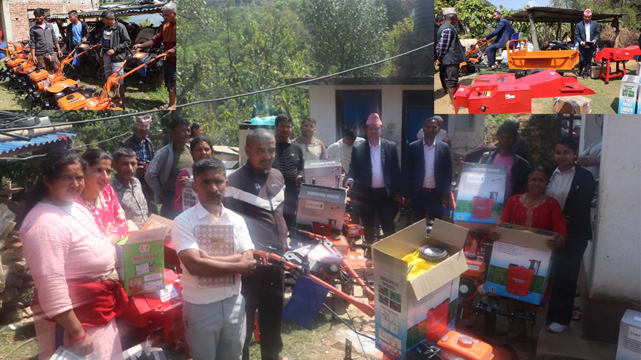 धादिङमा कृषि आधुनिकीकरणतर्फ नयाँ पहल, चक्लाबन्दी खेतीमार्फत उत्पादनमा वृद्धि