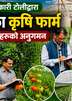 उच्चस्तरीय सरकारी टोलीद्वारा धादिङका कृषि फार्म तथा जोनहरूको अनुगमन
