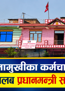 विपद्मा ज्वालामुखीका कर्मचारीको साथ : एक साताको तलब सहायता कोषमा